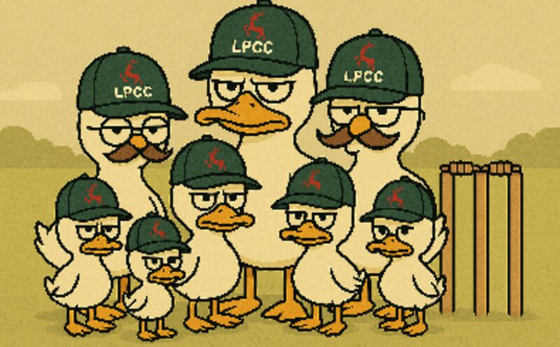 Extended Family of Ducks