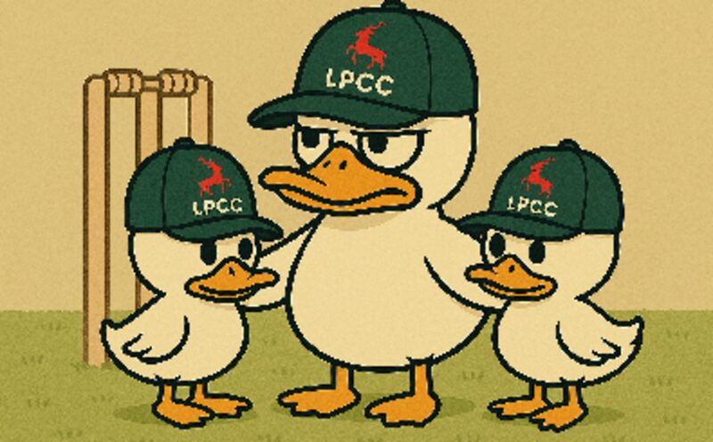 Family of Ducks